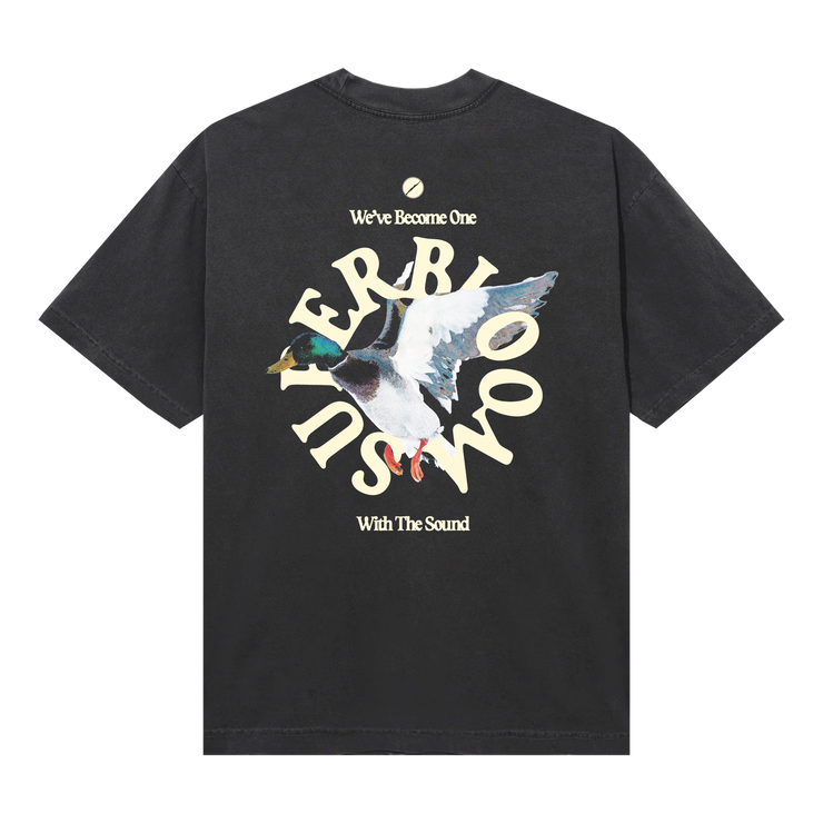 Duck T